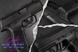 Sig Sauer P365X MS