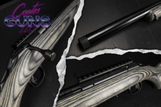 Ruger American Rimfire Target .22LR